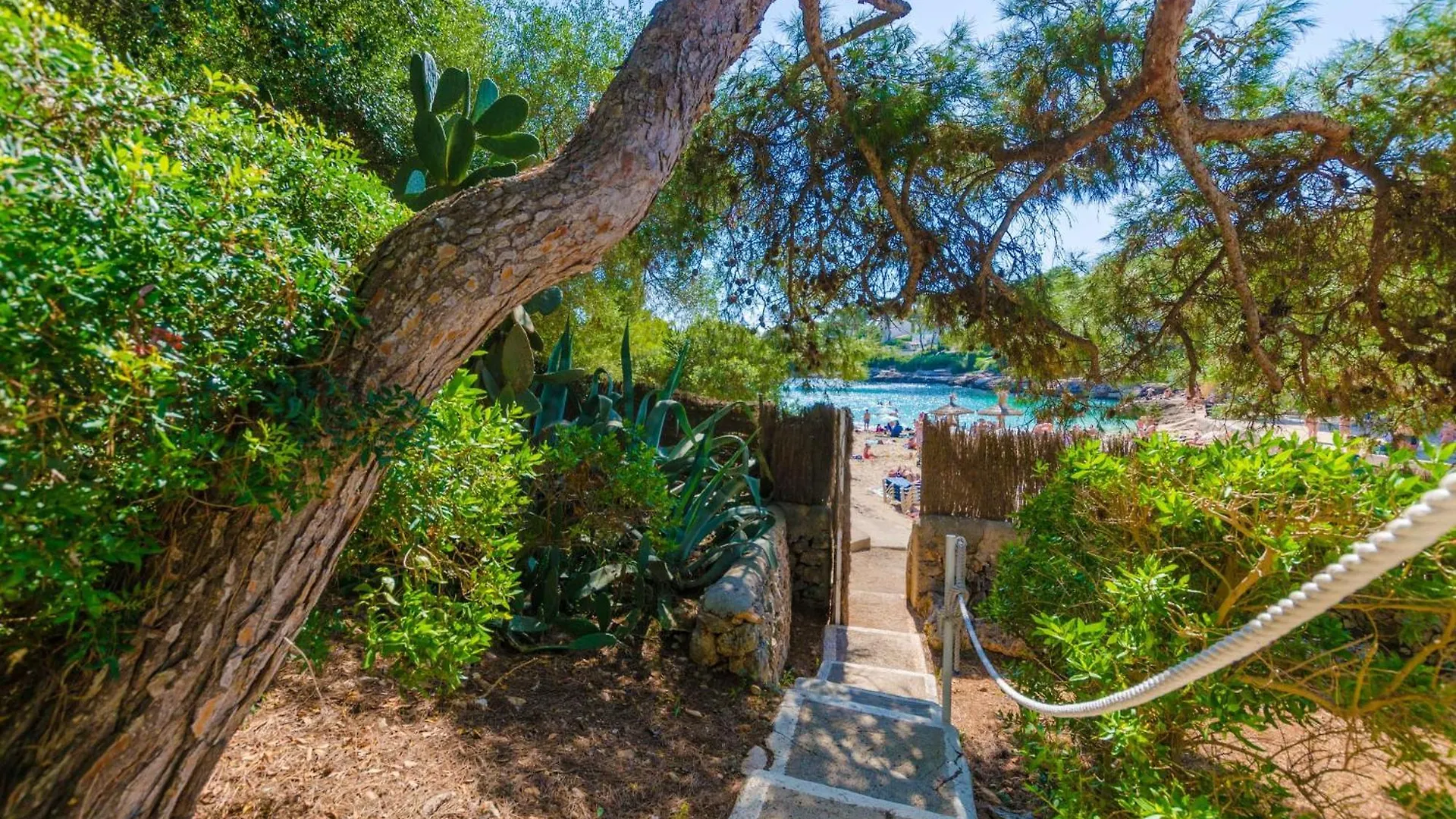 Cala Dor 14 Villa Cala d'Or